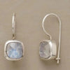Delicate Zirconia Stud Earrings 3