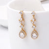 Sparkling Zircon Drop Earrings 1