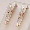 Micro-Pavé Zirconia V Earrings 1