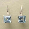 Vintage Plated Drop Earrings 2